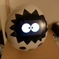 客室にもロボットがいます。