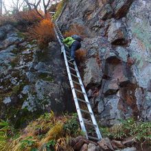 ココの梯子はちょっと注意がいるかも