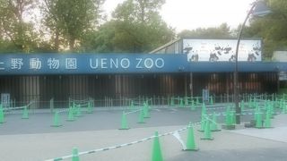 パンダは未だ見れず・・・