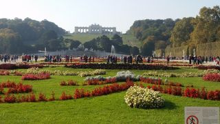 クリーム色の宮殿と芝生の緑と赤いベコニア