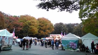 休日はイベントが多いです