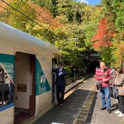 ICカードは使えません。下今市～龍王峡駅間のみでしたら、特急リバティも座席指定なしで乗車券だけで乗れます。