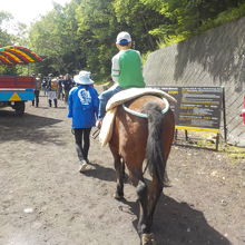  富士吉田市乗馬組合