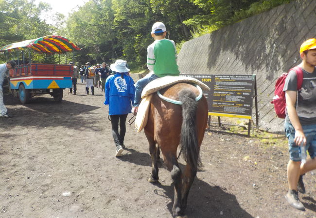  富士吉田市乗馬組合