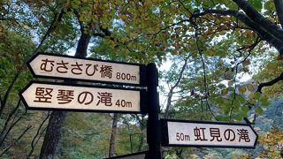 1時間の滞在なら虹見橋まで、2時間の滞在ならむささび橋・大観まで行って帰ってこれます。出来れば大観まで行く事をお勧めします！