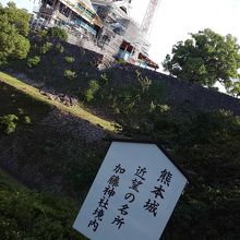 回りの木々にも囲まれより荘厳な雰囲気