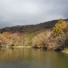 愛知県で最速の紅葉 By ブルーフォトトラベラー 茶臼山高原のクチコミ フォートラベル