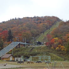 リフトで山頂にも行けます