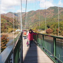 対岸側より、もみじ谷大吊橋を見る。