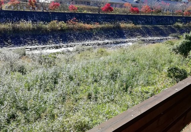 ドライブがてらパスタ