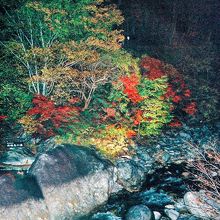 露天風呂と紅葉。