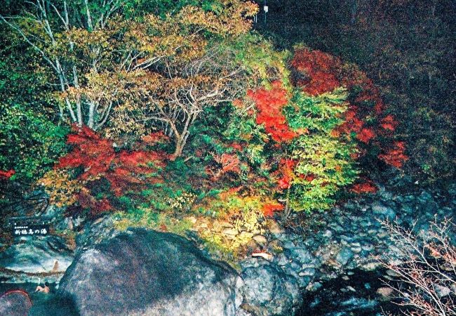 露天風呂と紅葉のライトアップとは如何に・・・。