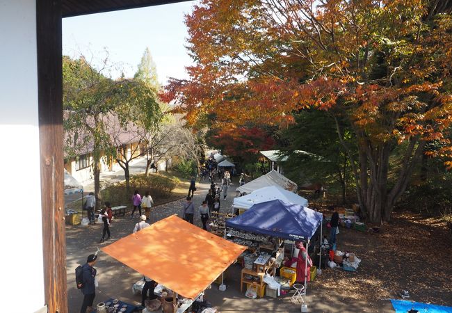 常設の店舗以外に全国から５００店もの新進の陶芸家たちがお店を出す陶器市