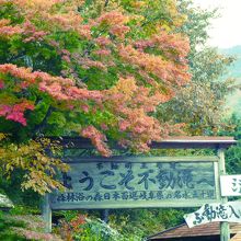 入り口の紅葉も綺麗でした&#127809;