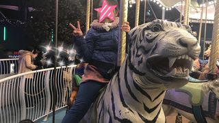 11月からはイルミネーション