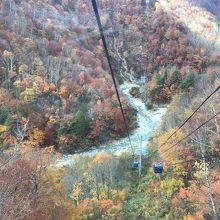 ゴンドラからの眺望です。