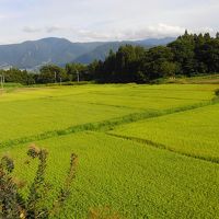 部屋からの眺め。落ち着きます。