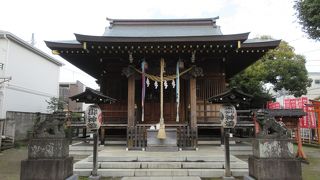 大ケヤキにびっくりです