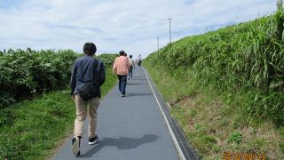 のんびりテクテク歩く