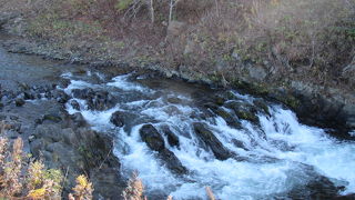 素朴な見所だが、国道脇でアクセス便利な場所でサケの遡上が見られる