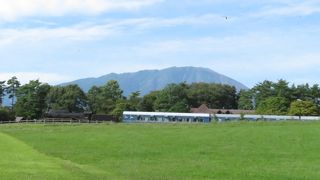 かなりの広さでいろんな体験ができます、ただ入園料￥800が高い！