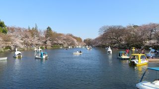 桜の時期で混雑