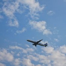 飛行機のお腹も見えます