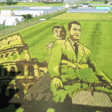 ただただ驚きです