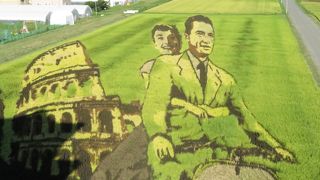 初めてみました、大きさに驚き！