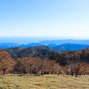 大杉谷から大台ヶ原登山