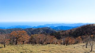 大杉谷から大台ヶ原登山