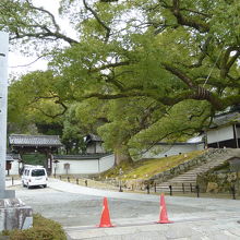 東山にきたら来たい場所