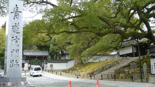 東山にきたらここも見たい
