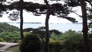 少し上から見よう松島を　手軽に　静かに