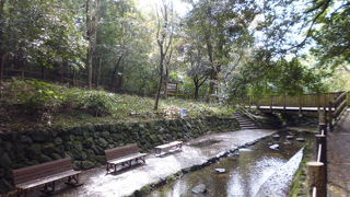 公園内なかほど