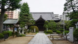 見どころは本堂前のどうだんつつじ