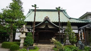 本堂の前にはひょろっと背の高いシュロの木が二本