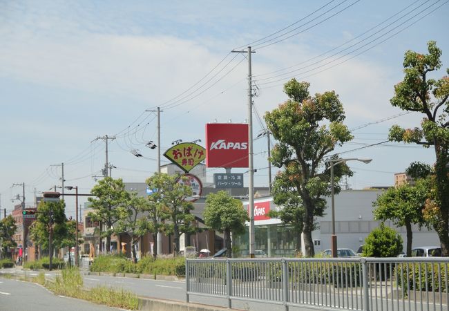 おススメは1本穴子にぎりですね