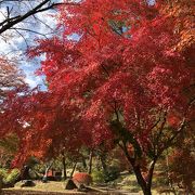 紅葉の穴場スポット