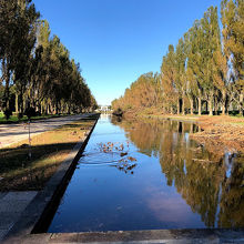 青空に映える運河。カモがいます