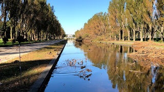 お散歩にぴったり