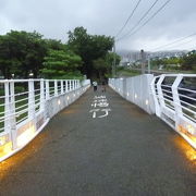 この陸橋が出来てから、判りにくい横断歩道や踏切を使わないで蓮池潭へ行くことができるようになりました。