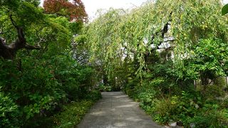 この潤いはお寺の心ばえ
