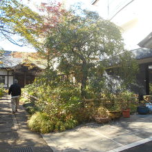 手入れされたお庭の奥に伽藍。すがすがしい気分になる。