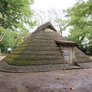 復元された住居が建っています