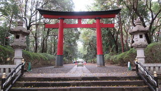 神聖な気持ちになる神社です