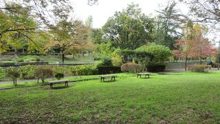 散歩や自然との触れ合いに最適です