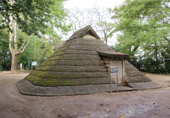 復元された住居が建っています