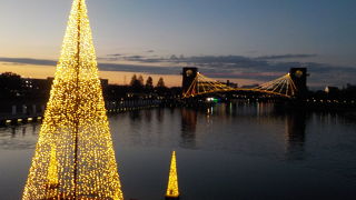 イルミネーションがめちゃくちゃ綺麗！