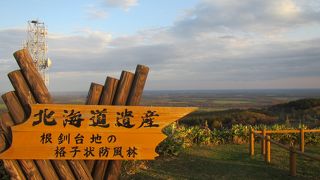 開陽台からは少しつぶれた感じ
